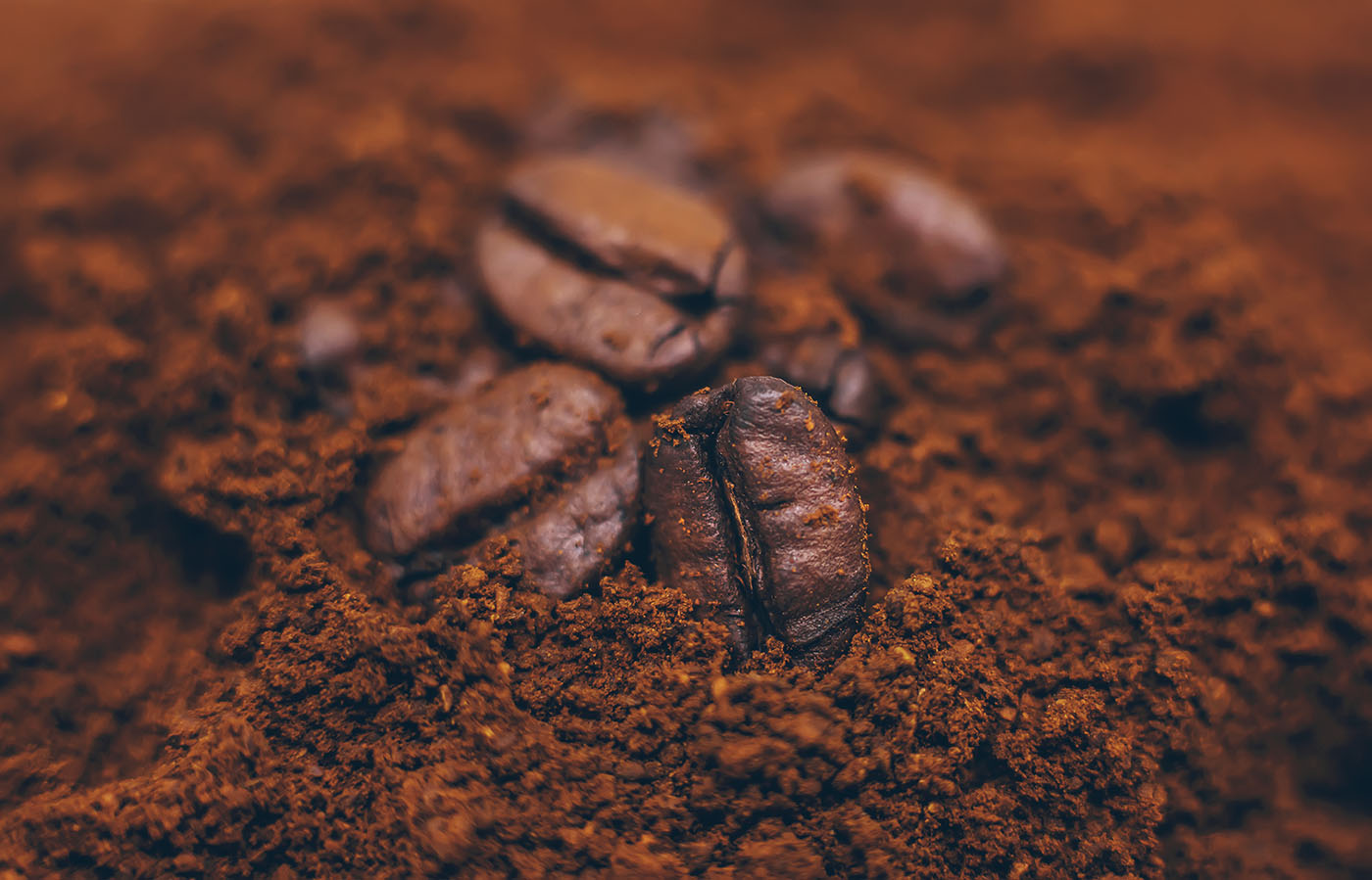 Granos de café y molidos